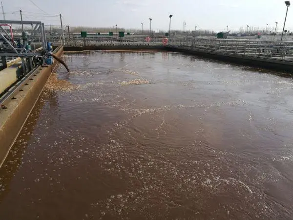 Slaughtering Wastewater
